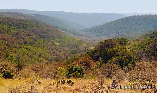 Hill Country_44634.jpg - Photographed near Vanderpool, Texas, USA.